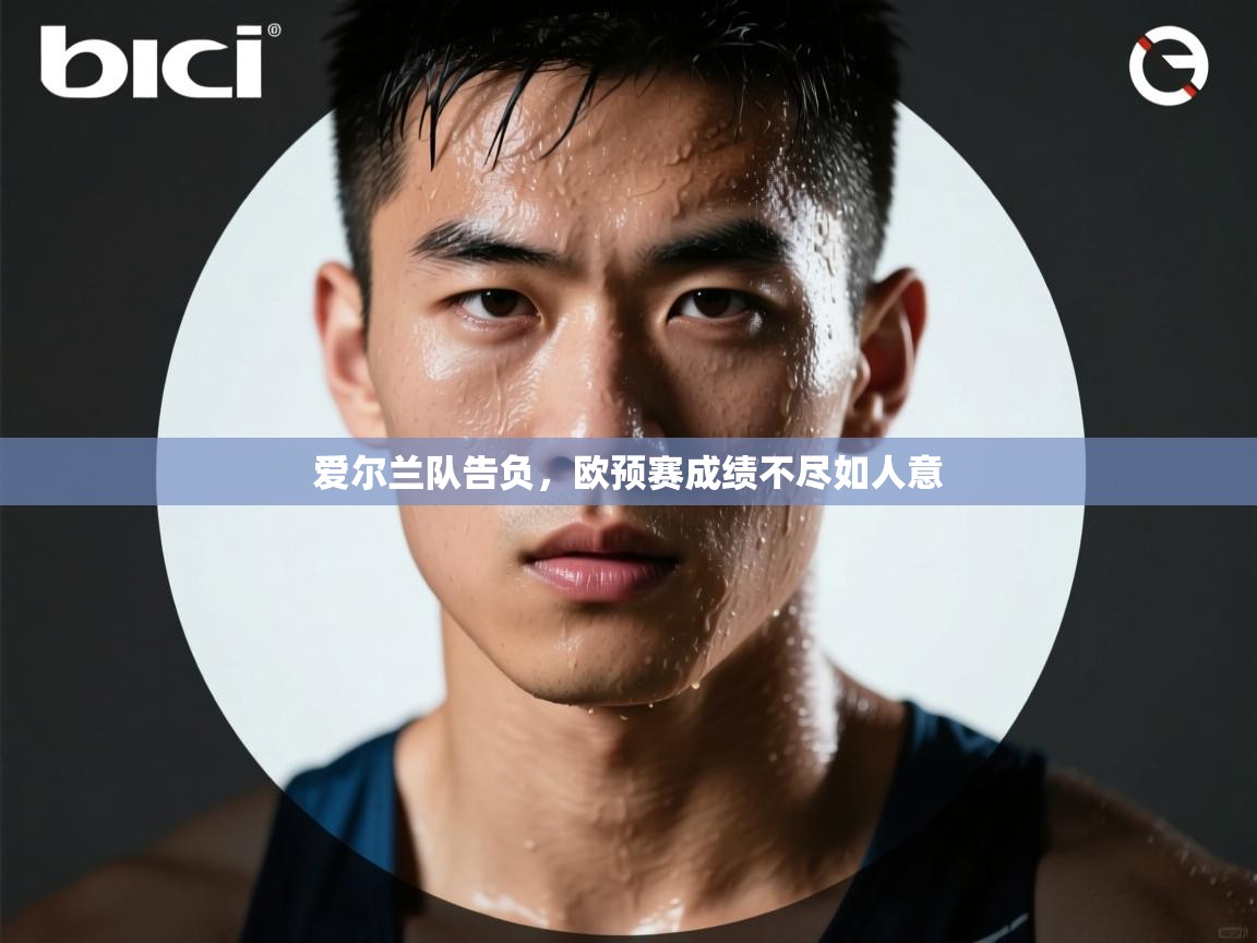 爱尔兰队告负,欧预赛成绩不尽如人意 第2张