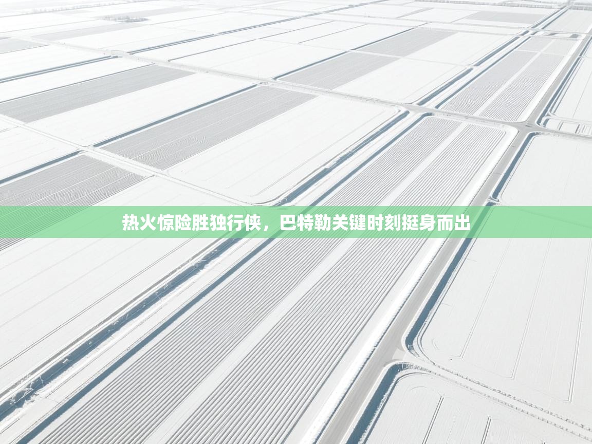 热火惊险胜独行侠，巴特勒关键时刻挺身而出  第2张