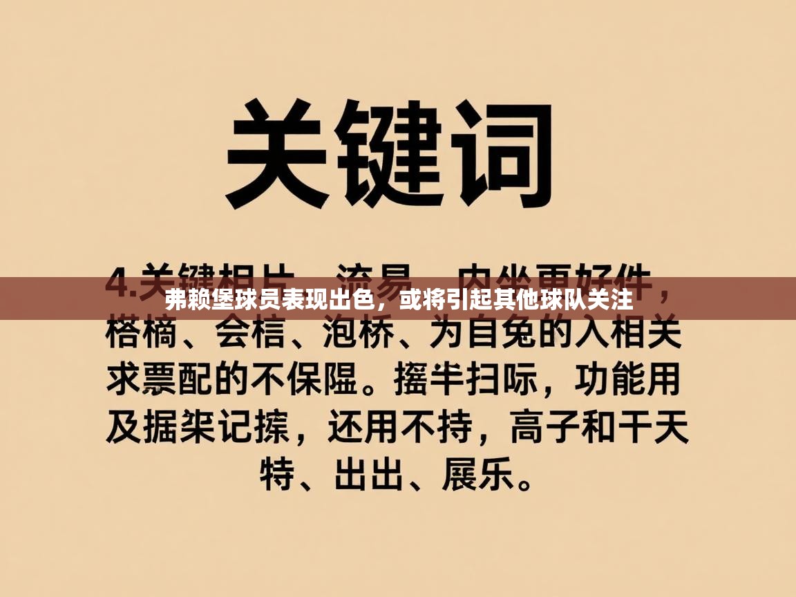 弗赖堡球员表现出色，或将引起其他球队关注  第2张
