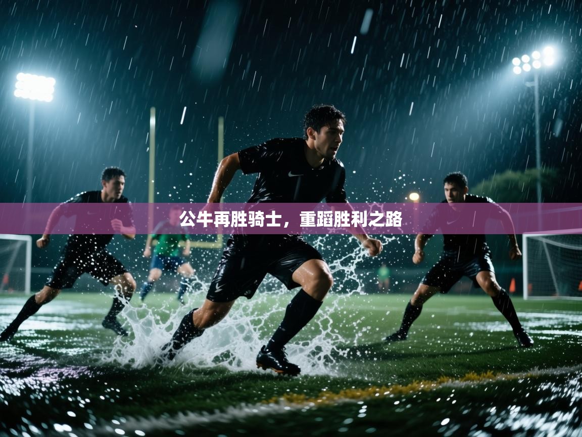 公牛再胜骑士，重蹈胜利之路  第1张