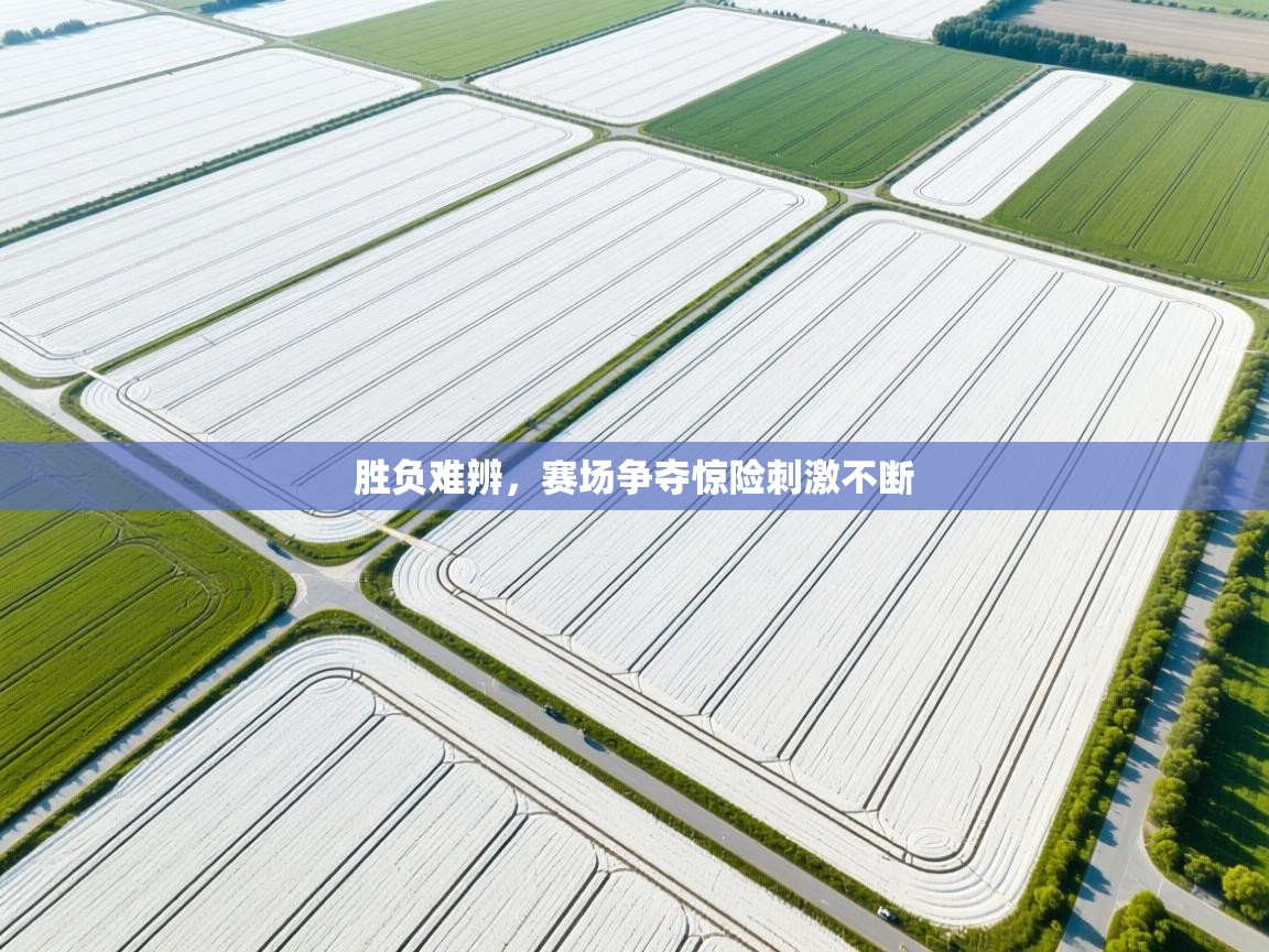 胜负难辨，赛场争夺惊险刺激不断  第2张